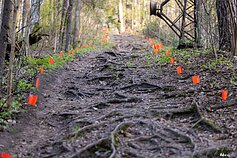Slidininko kalno varžybos