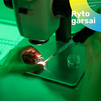 40 proc. mano, kad pagalbinį apvaisinimą reikia kompensuoti poroms ir vienišoms moterims