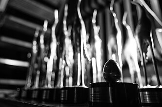 „Sidabrinės gervės“ apdovanojimai 