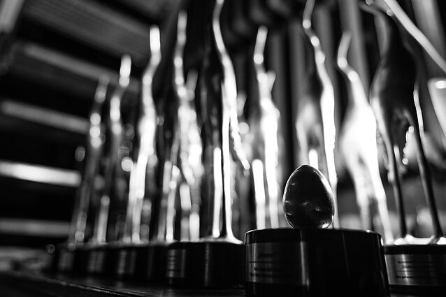 „Sidabrinės gervės“ apdovanojimai 