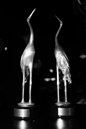 „Sidabrinės gervės“ apdovanojimai 