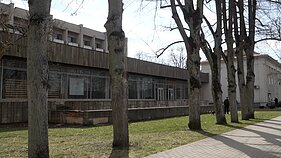 Druskininkų „Kultūros lelija“ 