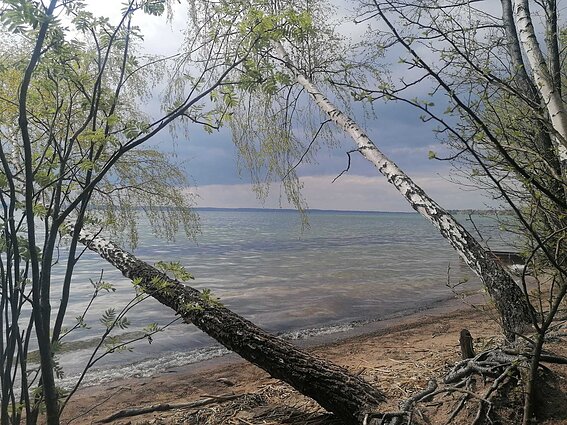 Dusios ežeras Lazdijų rajone