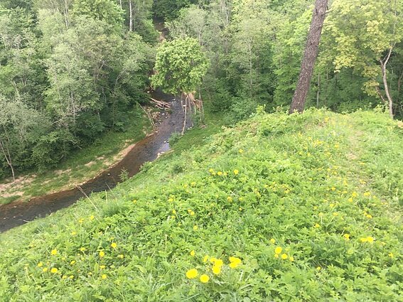 Vaizdas į Dūkštą nuo Karmazinų piliakalnio