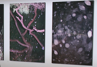 Prospekto galerijoje – daugiau nei 15 metų Tokijuje kuriančios Makauskaitės paroda