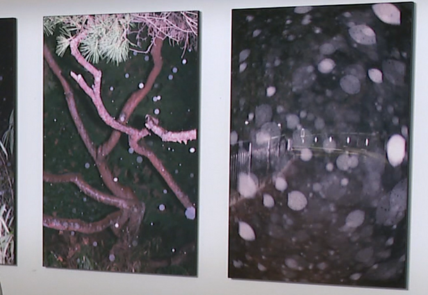 Prospekto galerijoje – daugiau nei 15 metų Tokijuje kuriančios Makauskaitės paroda