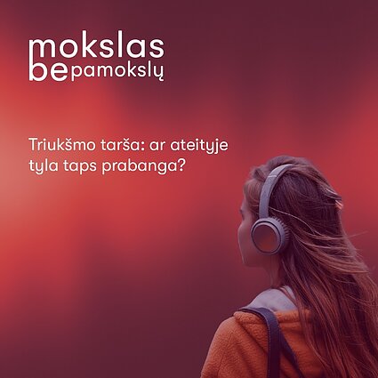 Triukšmo tarša: ar ateityje tyla taps prabanga?