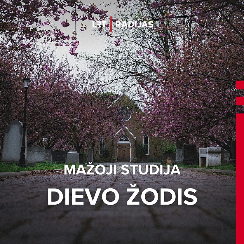unsplash nuotr., Mažoji studija. Dievo žodis