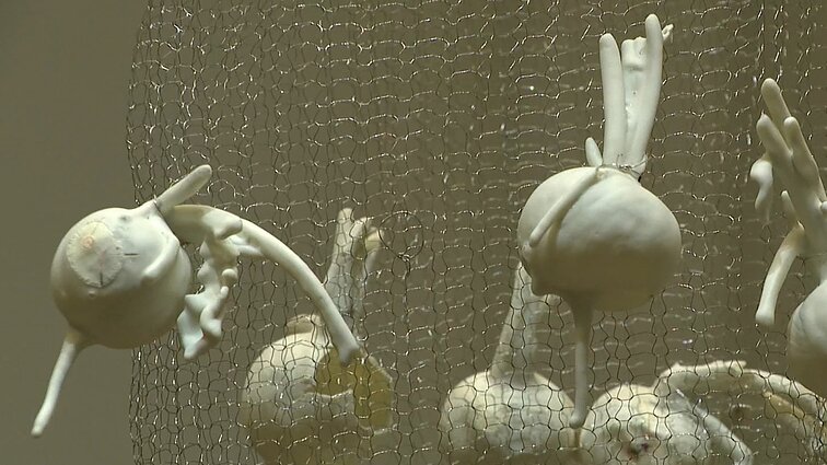 Porceliane įamžinti augalai: keramikės eksperimentai ir gyvenimo ciklų paralelės