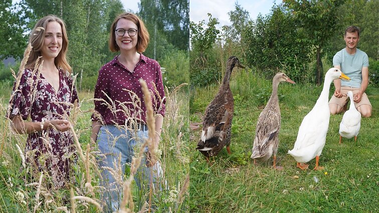 Sodininkų siaubas – invaziniai šliužai: raktu į sodo išgelbėjimą gali tapti antys bėgikės