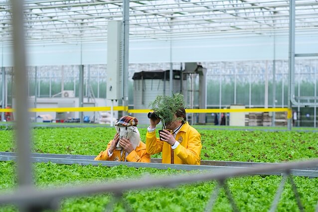 Mini serialo akimirka