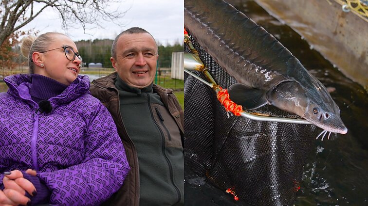 Savo žuvų ūkyje Ana ir Silvestras augina virš 30 rūšių: yra ir įrašytų į Raudonąją knygą