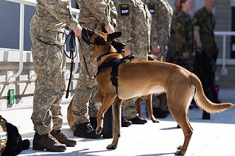 Renginys „Šuns diena Lietuvos kariuomenėje“ skirtas keturkojams pareigūnams, tarnaujantiems Lietuvos kariuomenėje