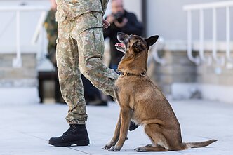 Renginys „Šuns diena Lietuvos kariuomenėje“ skirtas keturkojams pareigūnams, tarnaujantiems Lietuvos kariuomenėje