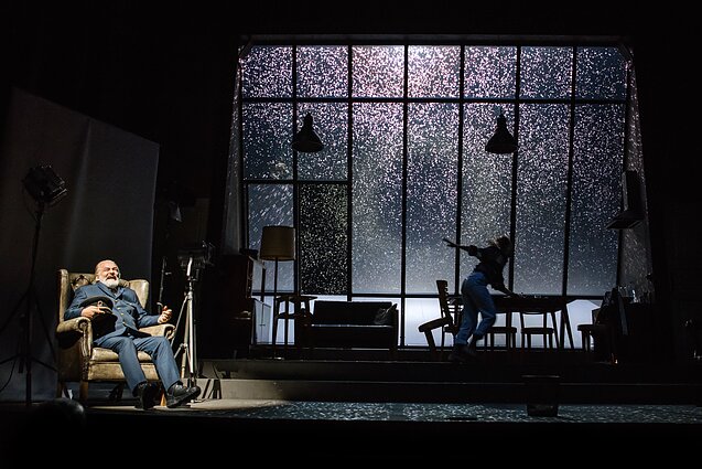 Scena iš spektaklio „Laukinė antis“