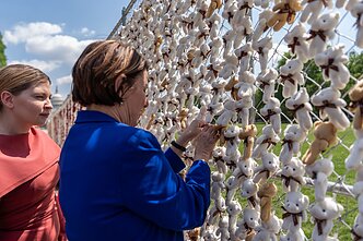 Prie Baltųjų rūmų iškabinti meškiukai, simbolizuojantys Rusijos pagrobtus iš Ukrainos vaikus