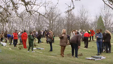 Minint Basanavičiaus 175-ąsias gimimo metines – Ožkabaliuose pasodinta 40 vyšnių