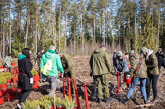 Nacionalinis miškasodis