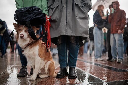 Protestas „Šalin rankas“ Katedros aikštėje.