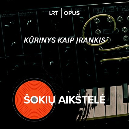 KŪRINYS KAIP ĮRANKIS