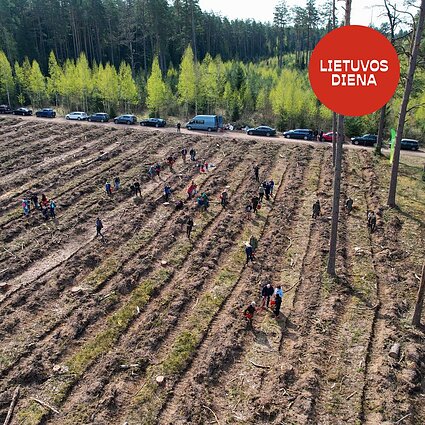 Nacionalinis miškasodis