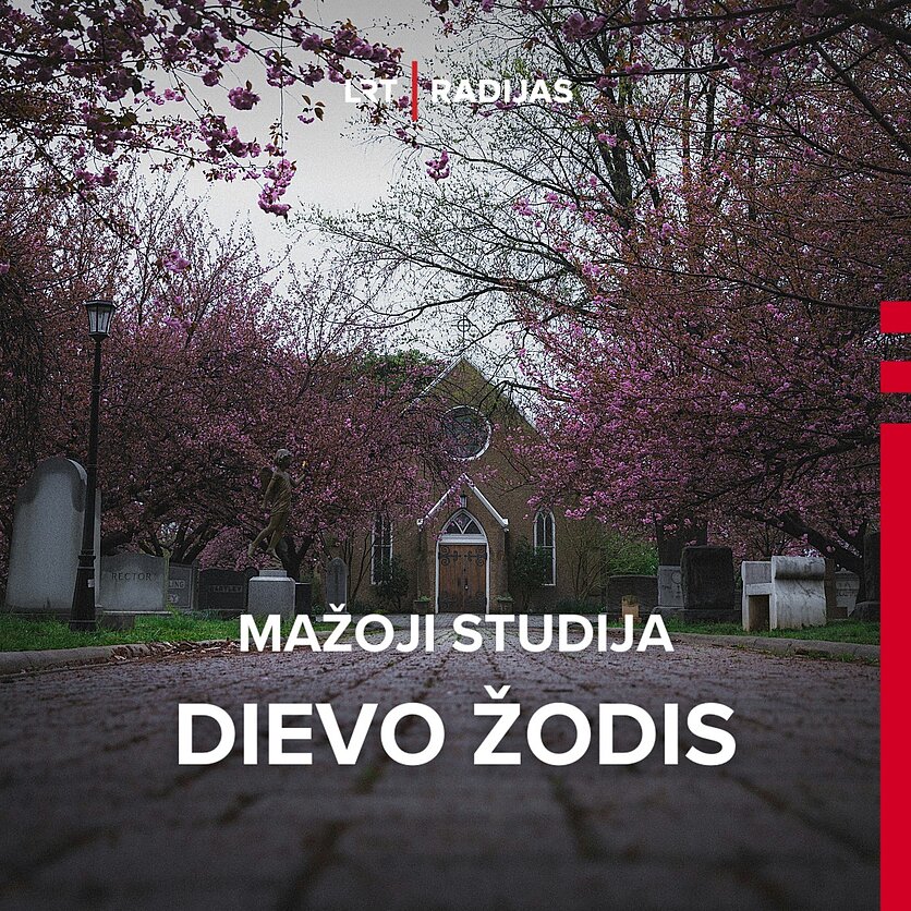 unsplash nuotr., Mažoji studija. Dievo žodis