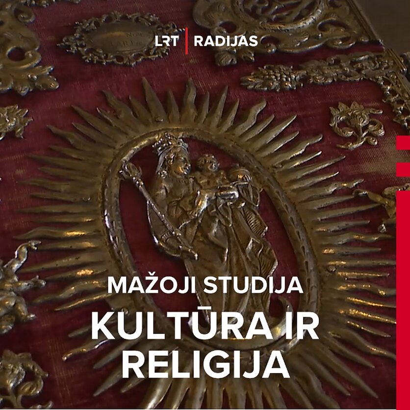 LRT stop kadras, Prie Naujojo Židinio: Vilniaus katedros Saldžiausiojo Marijos Vardo arkibrolija
