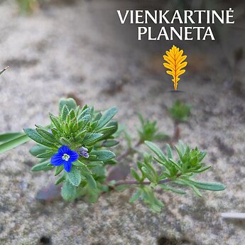 Lietuvos botanikai: esame mūsų šalies gamtos patriotai