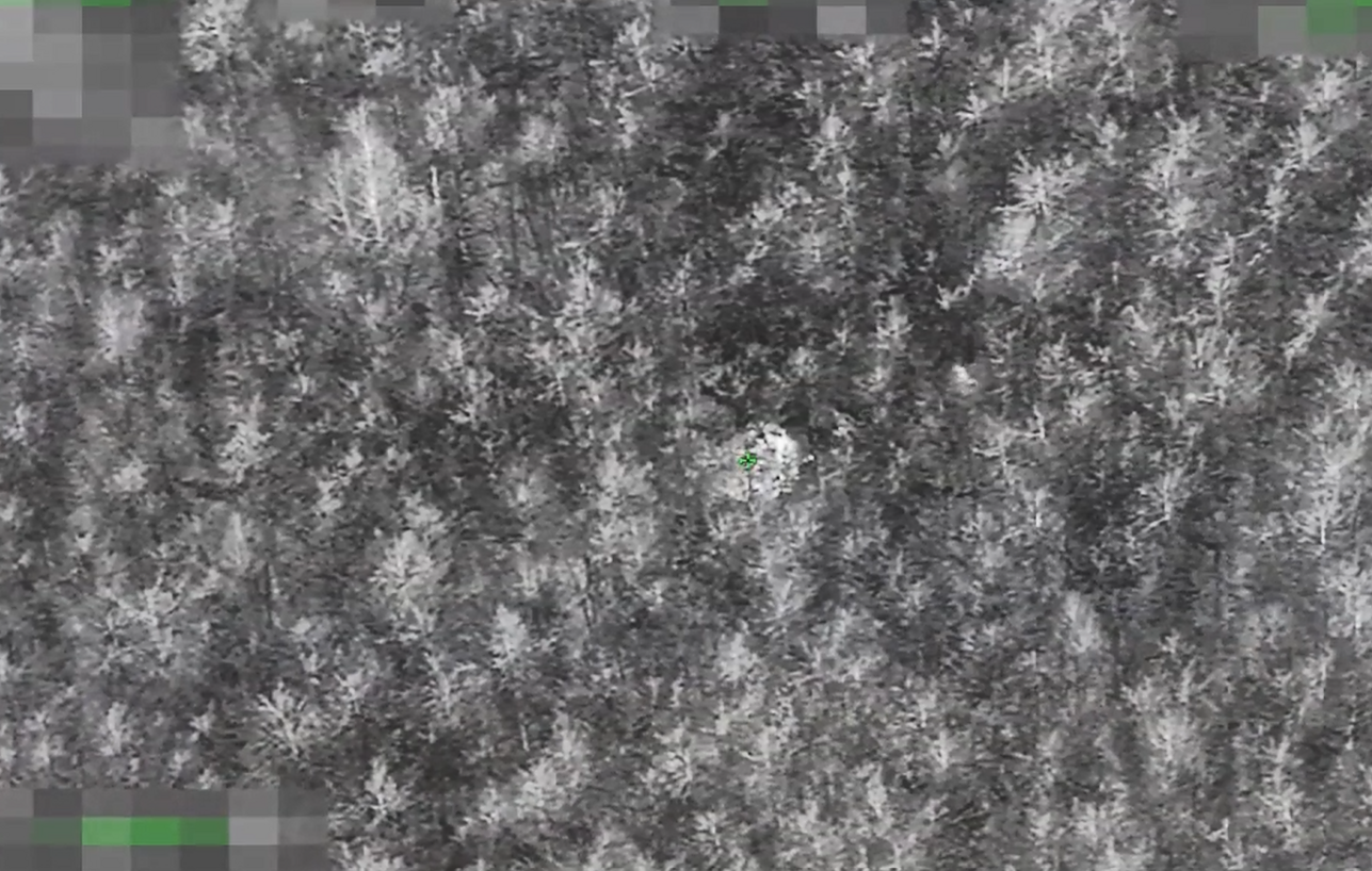 Pasienyje su Baltarusija apgręžta 50 neteisėtų migrantų – daugiausia šiemet