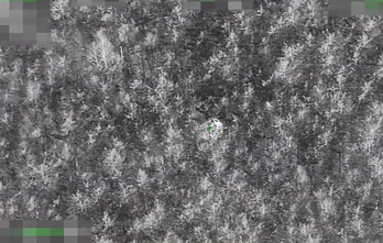 Pasienyje su Baltarusija apgręžta 50 neteisėtų migrantų – daugiausia šiemet