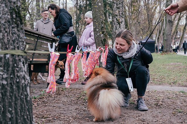 Šuns diena Vilniuje 2026 m.