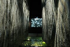 „Dingęs štetlas“ 