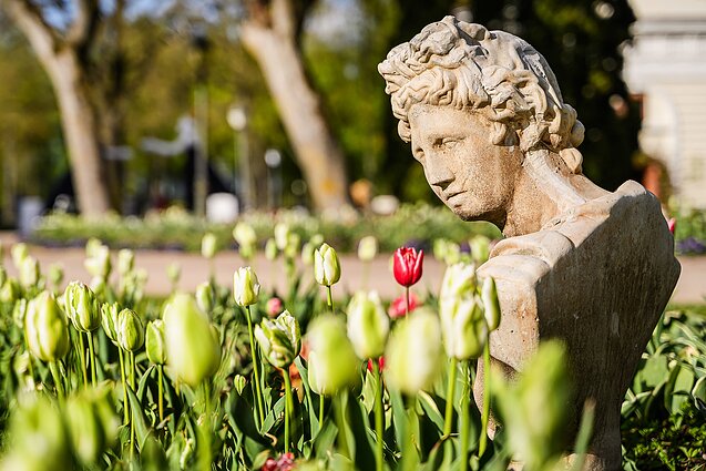 Ankstesnių festivalių akimirkos