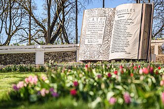 Ankstesnių festivalių akimirkos