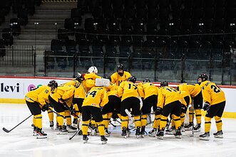 Lietuvos jaunių ledo ritulio rinktinė