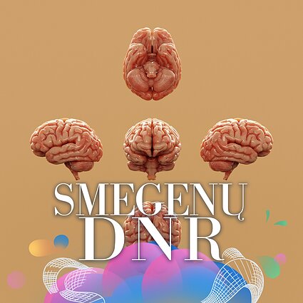 5 gyvenimo fazės: kas smegenyse kinta iki 90-ies?