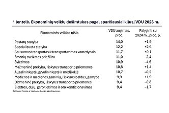 Ekonominių veiklų dešimtukas pagal sparčiausiai kilusį VDU 2025 m.