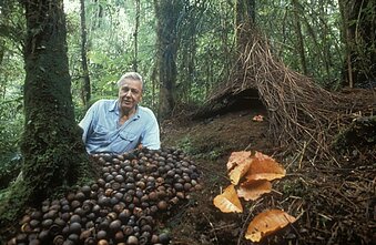 Davidas Attenborough