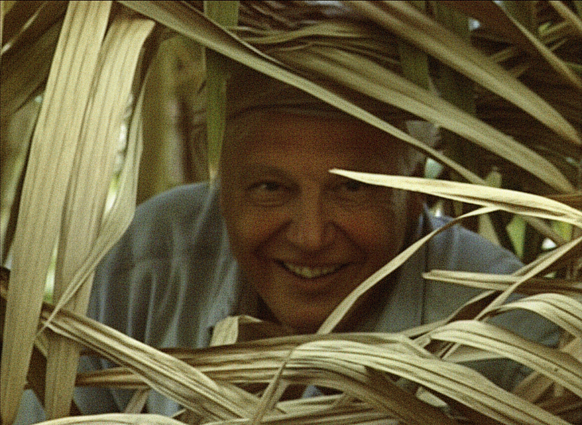 Davidas Attenborough