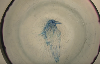 Vilniuje – paroda, kurioje pristatomi „Zabolis Art Prize“ konkurso dalyvių darbai