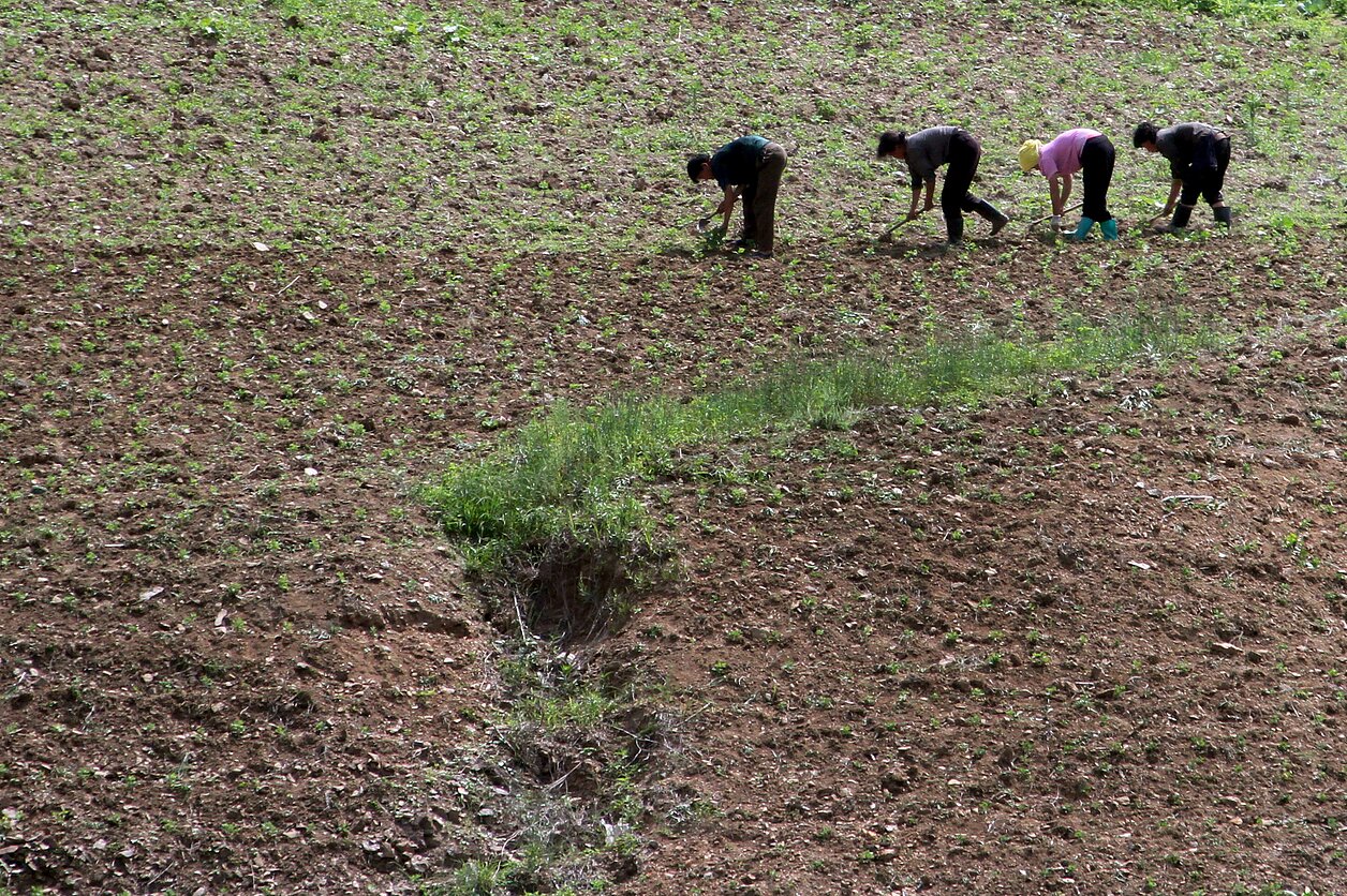 Sausra Šiaurės Korėjoje