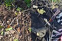 Švirkštai prie vaikų žaidimų aikštelės: sostinės gyventojai baiminasi dėl saugumo