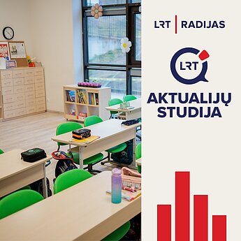 3 incidentus per 3 dienas mokyklose įvertinęs profesorius: matome tik ledkalnio viršūnę