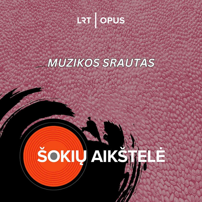 Andrius Laucevičius, MUZIKOS SRAUTAS