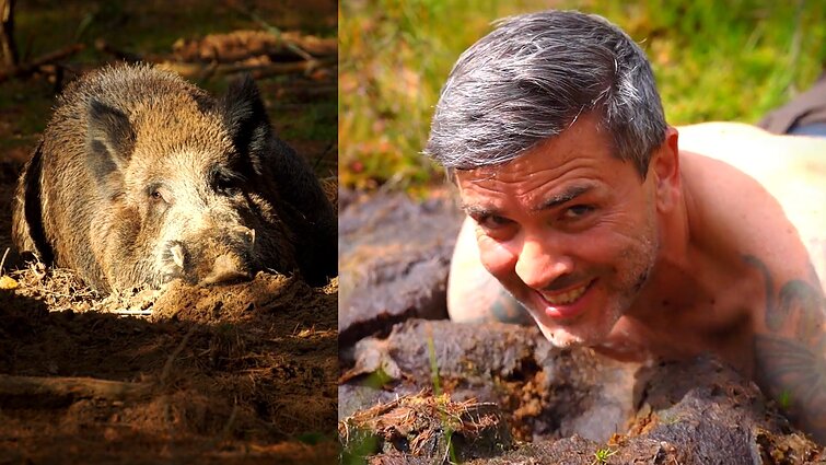 Šernų ir briedžių „purvo vonias“ atsivėsinimui išbandęs Čepulis: smirda, bet tikrai atvėsau