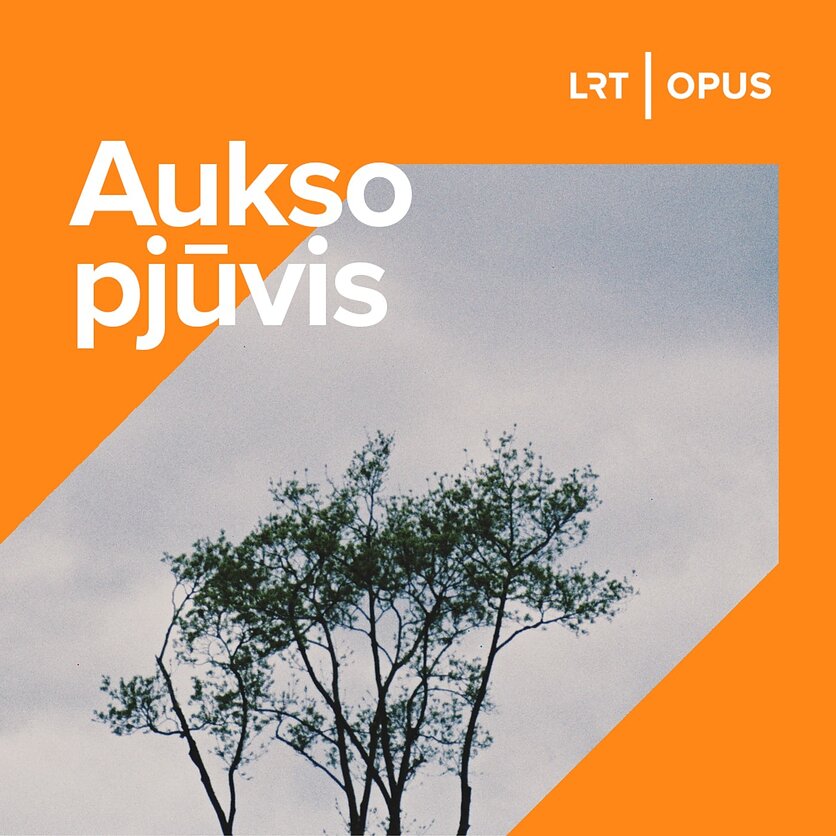 Aplink folką