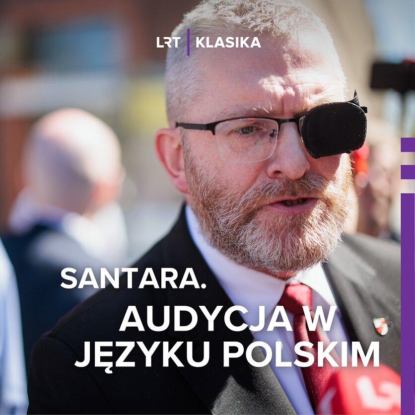 V. Raupelio / LRT nuotr., Lietuvos lenkų paradas