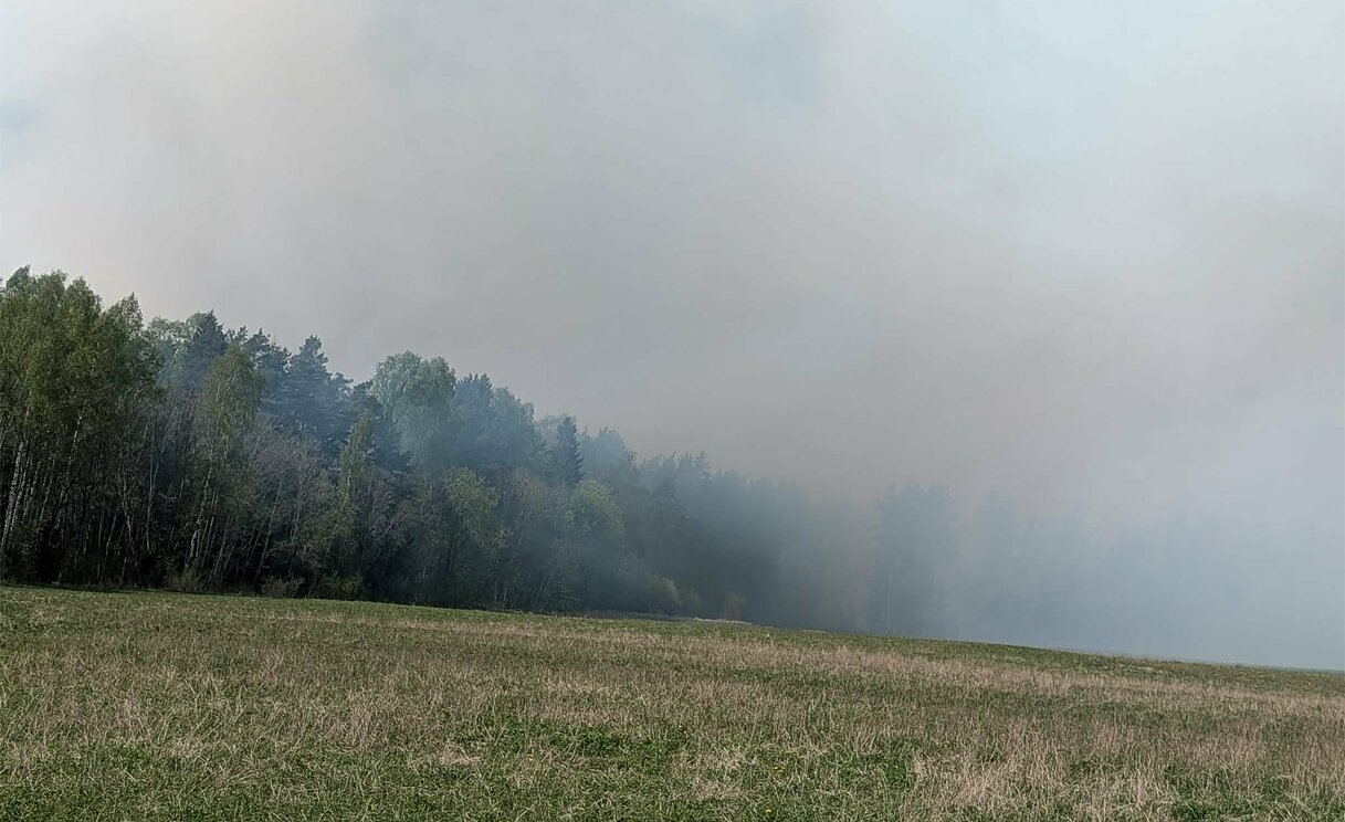 Gaisras Kupiškio rajone: dega durpynas, sutelktos gausios ugniagesių pajėgos