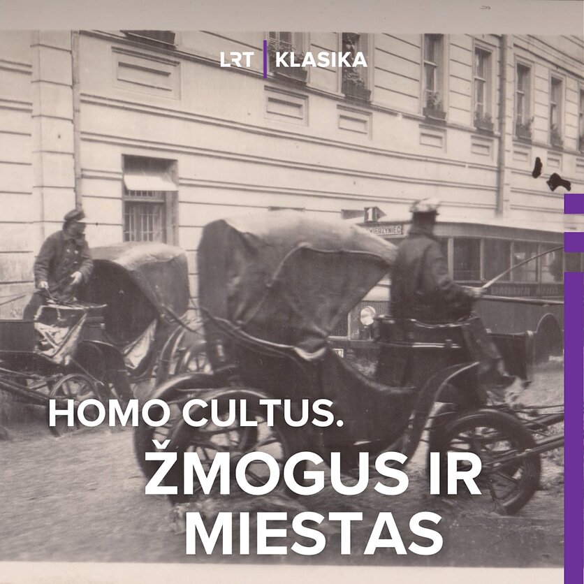 R. Žičkaus asmeninio archyv. nuotr., Vežikai sukiojasi Pilies ir Literatų gatvių sankirtoje (fragmentas).