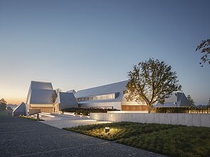 „Dingęs štetlas“